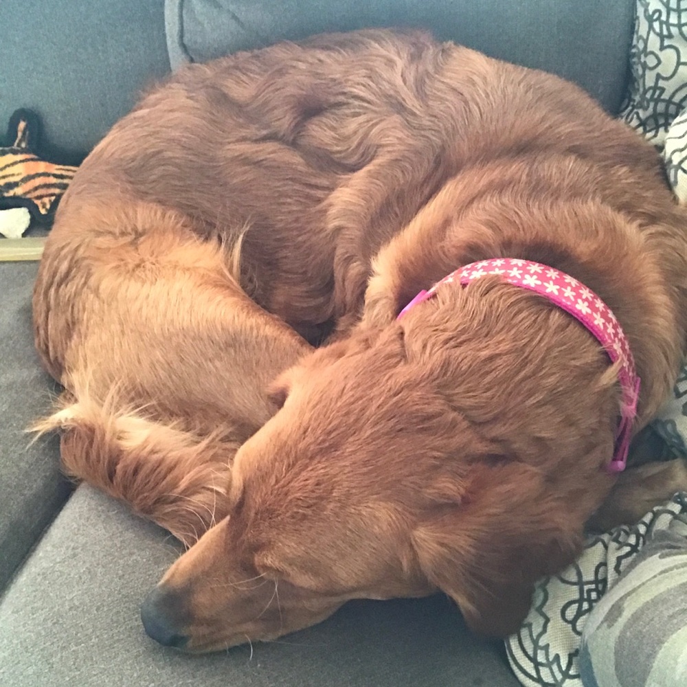 Meet your Posher, Jill